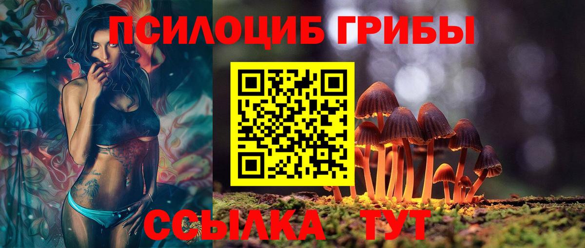 Псилоцибиновые грибы MAGIC MUSHROOMS Дербент