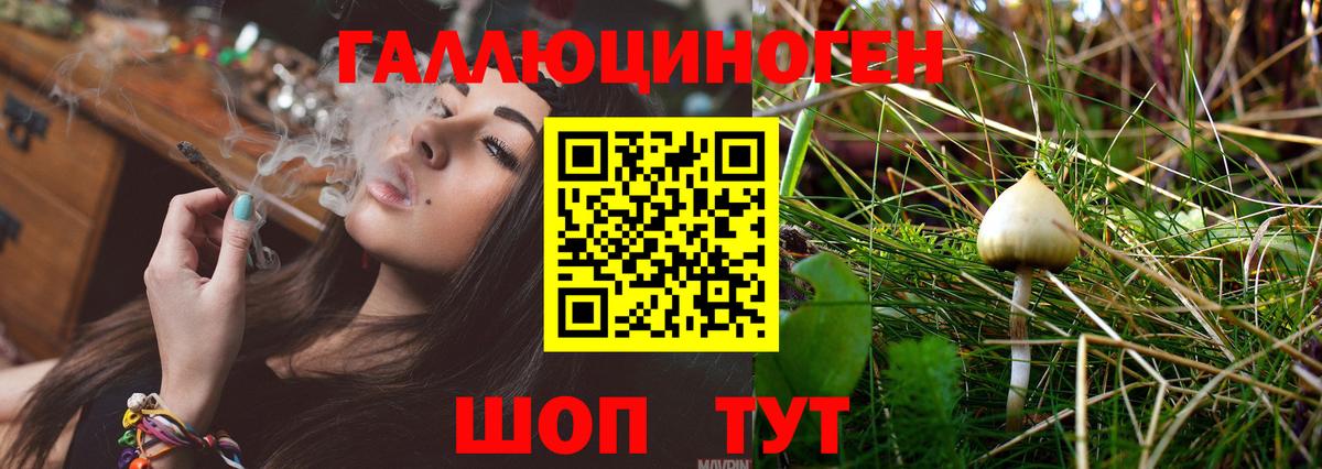 Псилоцибиновые грибы MAGIC MUSHROOMS  Вход с VPN  Дербент 